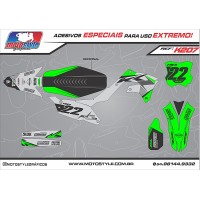 K207 GRÁFICO ADESIVO KAWASAKI