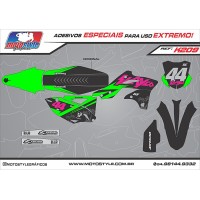 K209 GRÁFICO ADESIVO KAWASAKI