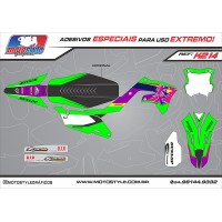 K214 GRÁFICO ADESIVO KAWASAKI
