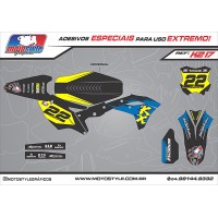 K217 GRÁFICO ADESIVO KAWASAKI
