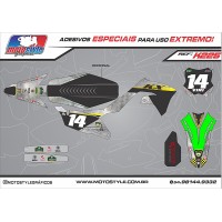 K225 GRÁFICO ADESIVO KAWASAKI