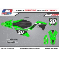 K226 GRÁFICO ADESIVO KAWASAKI