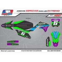 K227 GRÁFICO ADESIVO KAWASAKI