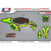 K229 GRÁFICO ADESIVO KAWASAKI