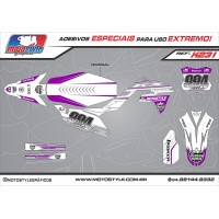 K231 GRÁFICO ADESIVO KAWASAKI