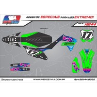 K244 GRÁFICO ADESIVO KAWASAKI