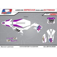 K250 GRÁFICO ADESIVO KAWASAKI